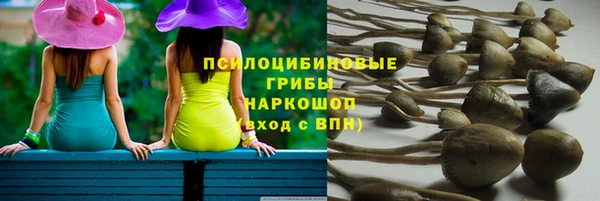 синтетический гашиш Алексин