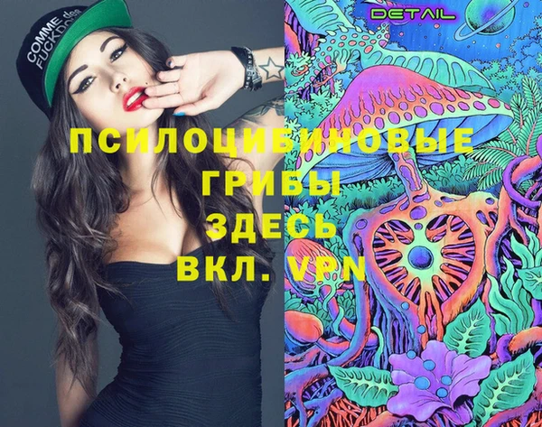 амфетамин Алексеевка