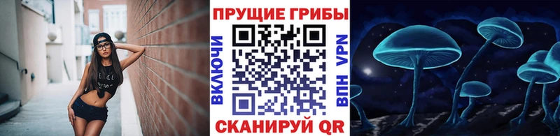 Галлюциногенные грибы прущие грибы  дарк нет наркотические препараты  Анапа 